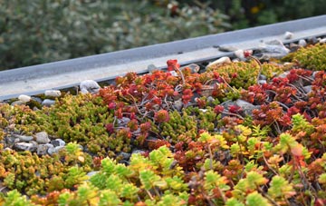 the cost of Ellerton green roof installation