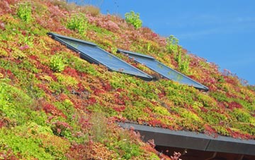 Ellerton living roof systems