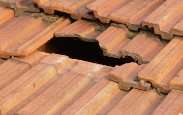 roof repair Ellerton
